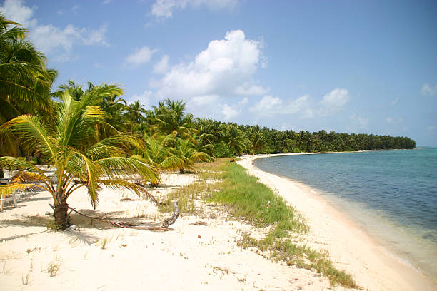 Half moon caye Beach at Half Moon Caye off Belize cay stock pictures, royalty-free photos & images