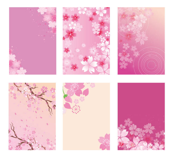 ilustrações, clipart, desenhos animados e ícones de fundo bonito da flor da cerejeira da primavera - cherry blossom blossom cherry tree sakura