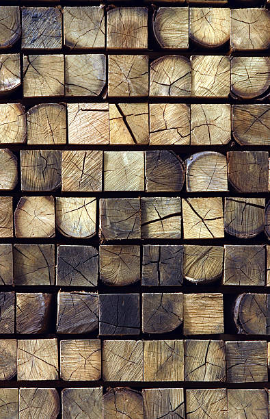 Timbers stock photo