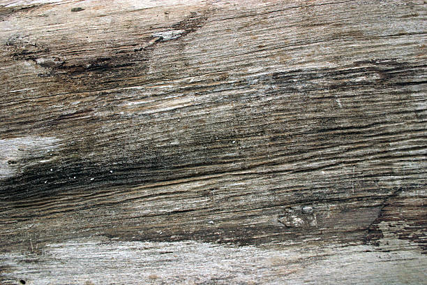 texture legno stock photo