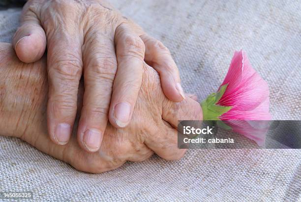 손을 쥠 아이리스입니다 할머니에 대한 스톡 사진 및 기타 이미지 - 할머니, 향수-감정, 70-79세