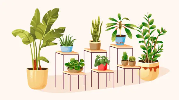 Vector illustration of Potted plants set. Houseplants in the interior. Vector illustration