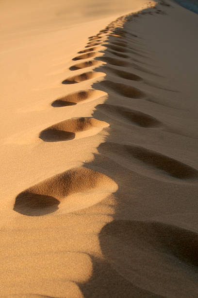 Footprints in the Sand stock photo