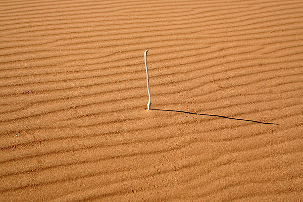 Sundial in the Sand stock photo