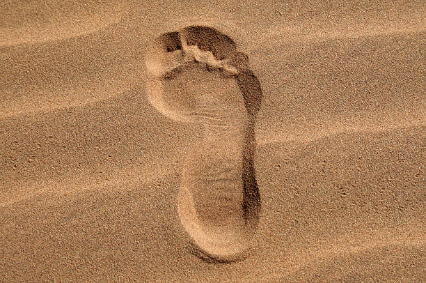istock Footprint in the Sand 145055854