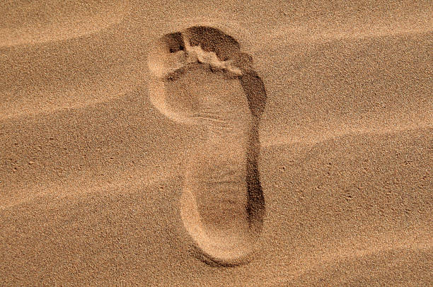 Footprint in the Sand stock photo