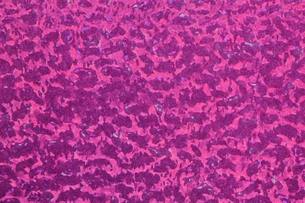 istock Abstract design background of arbitrary textured violet sale concept. Divorces and smooth lines of paint, colors. 1450558568
