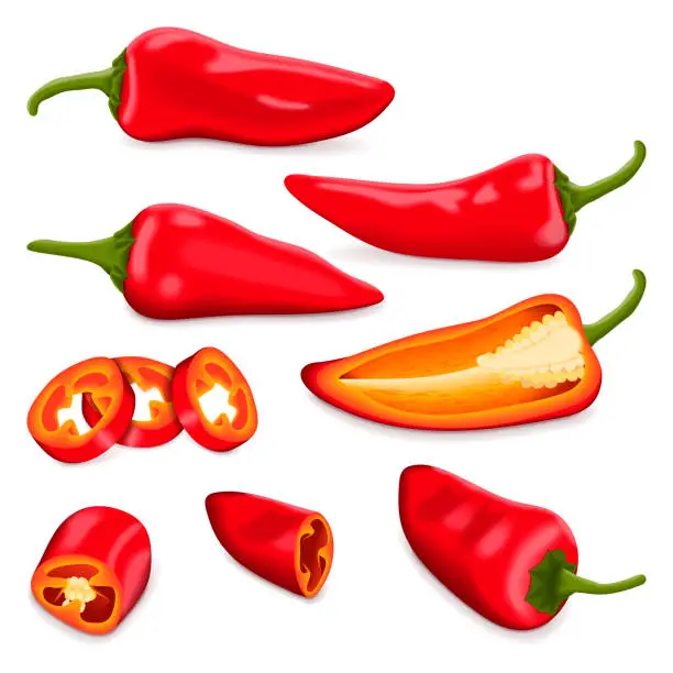 Vector illustration of Set with whole, half, quarter, slices, and wedges of Red Fresno chili peppers. Capsicum annuum. Chili pepper. Vegetables. Vector illustration isolated on white background.