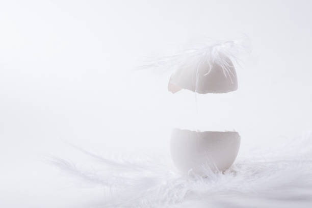 Conceptual image of a cracked eggshell illuminated from within against a dark background, symbolizing transformative growth, emergence, vulnerability, inner strength, and the transition into a new stage of life.