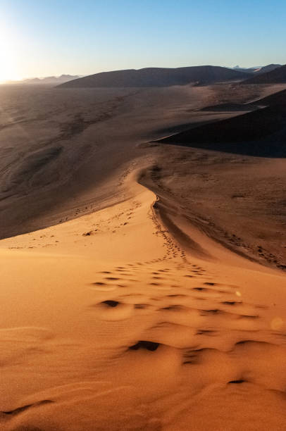 istock Climbing Dune 45 at sunrise 1450568536