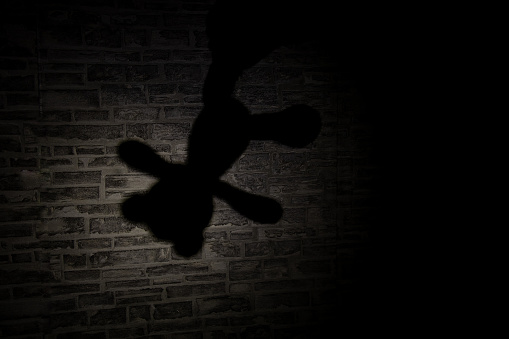 shadow of a teddy bear hanging on a wall lit by a lantern