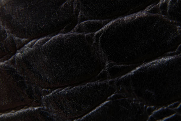 istock black genuine leather as background closeup 1450570533
