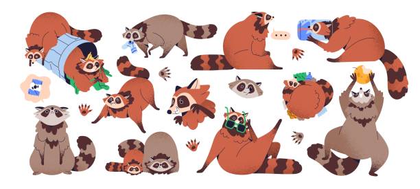 ilustrações de stock, clip art, desenhos animados e ícones de cute baby raccoons set. funny racoon characters in fun poses with trash can, garbage, food. happy wild animal with furry fluffy tail. childish flat vector illustrations isolated on white background - desperdício alimentar