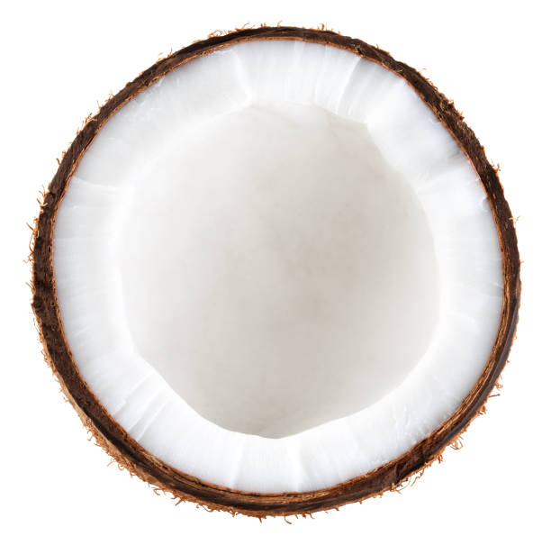 istock Coconut half isolated. Coconut top view on white background. Broken white coco, round slice. Full depth of field. 1450577304