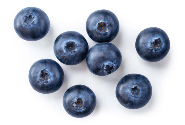 istock Blueberry isolated. Blueberries top view. Blueberry flat lay on white background with clipping path. 1450577417