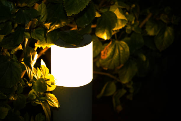 istock Lanterns In Green Foliage 1450581339