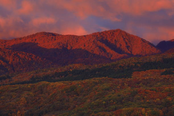 istock sunrise and autumn leaves 1450598072