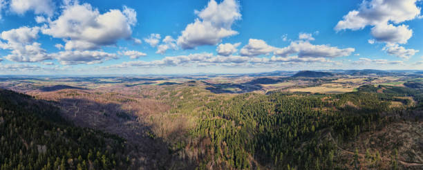 istock Drone flight over mountains covered with forest and valleys 1450600463
