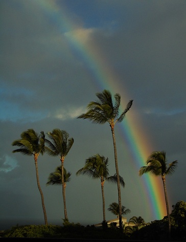 Beautiful double rainbow over lush green mountains.  Shot in Costa Rica.  Concepts could include travel, tourism, beauty in nature, adventure, others.