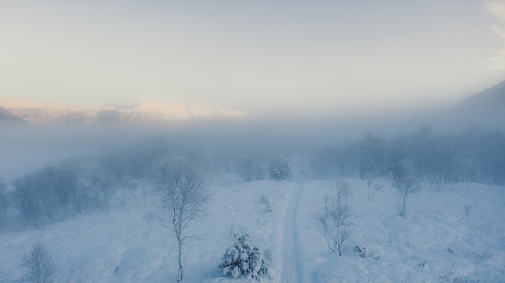 Snowy winter landscape with a dirt road at the fields