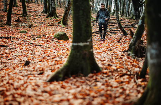 Friends hiking in Italian forest outdoors. They explore a majestic beech forest during fall winter period