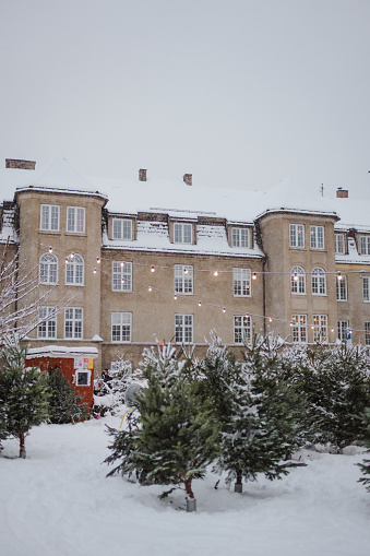 Scene from Oslo city after a heavy snowfall in December 2022. Christmas tree sale at St.Hanshaugen.