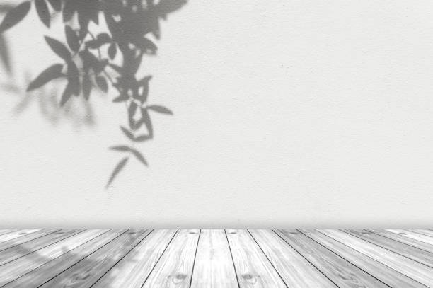 istock Shadows leaves overlay on backgrounds 1450620002