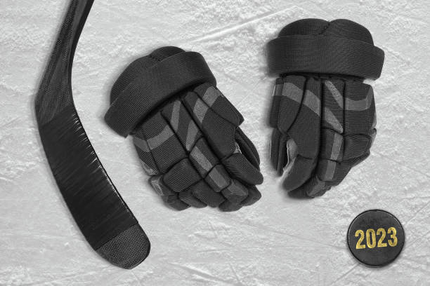 istock Hockey gloves, stick and puck 1450623545