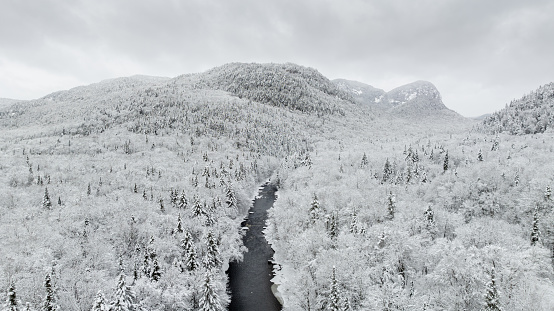 Aerial View of Boreal Nature Forest and River in Winter After Snowstorm.\nRiviere Neilson River in Zec Batiscan Neilson, Saint-Raymond, Quebec, Canada.