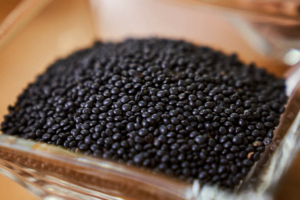 Black lentils are rich in potassium, phosphorus, iron and vitamins stock photo
