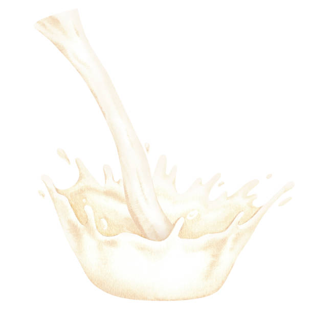 Milk pours out forming a funnel. Cream, pina colada, or other white liquids. Watercolor illustration. Isolated on a white background.For design packaging of dairy products, kitchen products and so on Milk pours out forming a funnel. Cream, pina colada, or other white liquids. Watercolor illustration. Isolated on a white background.For design packaging of dairy products, kitchen products and so on. flushing water stock illustrations