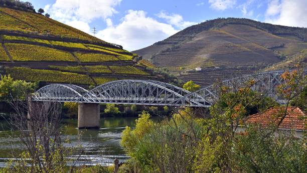 istock Low-angle view of a beautiful bridge above the lake 1450635551