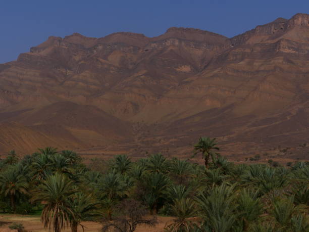 istock The Jebel and the palm grove, Draa Valley, Morocco 1450636907