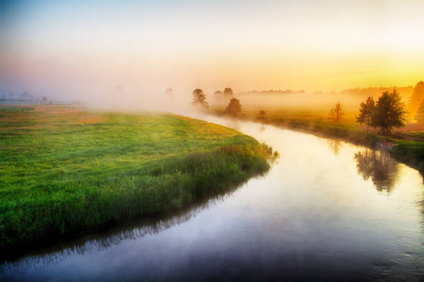 ナレフ川渓谷の風景の夕日、ポーランドヨーロッパ、木と霧の霧の牧草地、春の時間 - sun fog sky river ストックフォトと画像