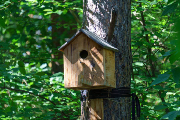 istock Birdhouse or bird box with natural green leaves background. Selective focus 1450643657