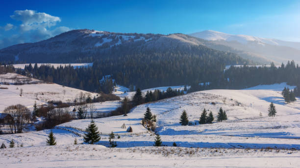 istock countryside winter scenery in carpathian mountains 1450649915