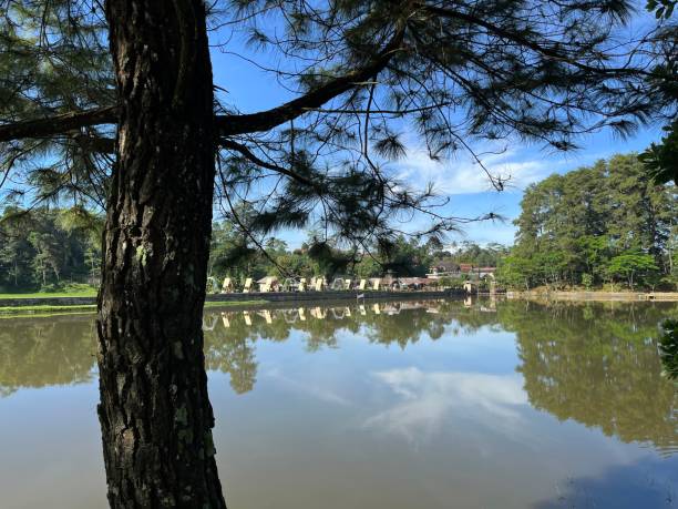 istock A beautiful view of Lake 1450649952