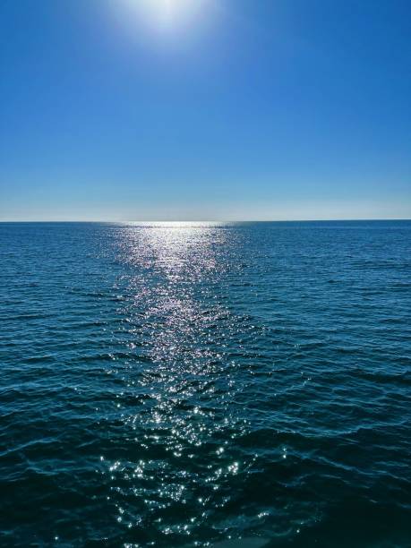 istock Vertical shot of a sea with sunlight under blue sky 1450650045