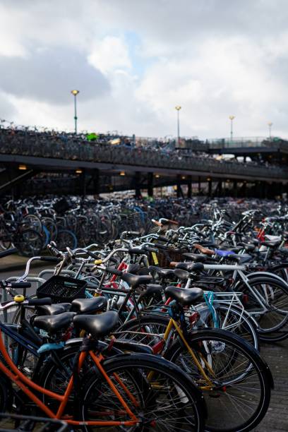 istock Huge bicycle parking in Amsterdam 1450651303