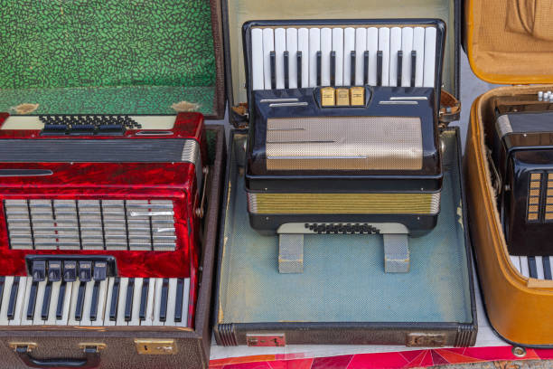 istock Piano Accordion Musical Instrument 1450655940