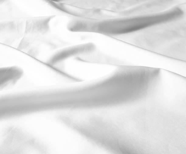 istock Curtain white wave and soft shadow. abstract backround on isolated. 1450659694