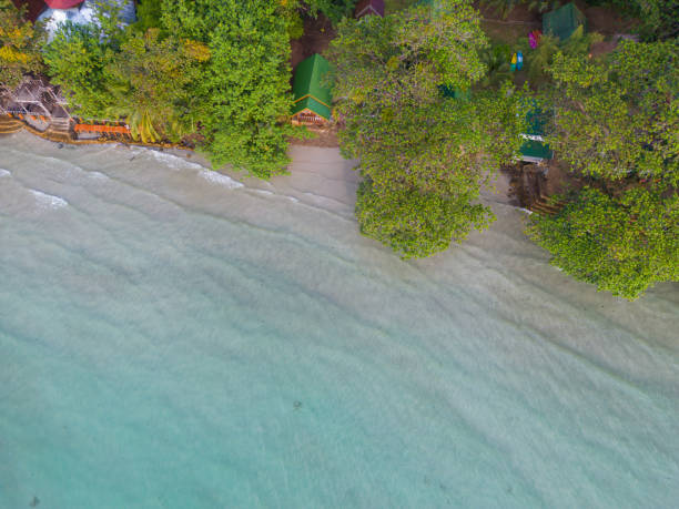 istock Aerial view exotic sea wave beach with green tree white sand 1450660963