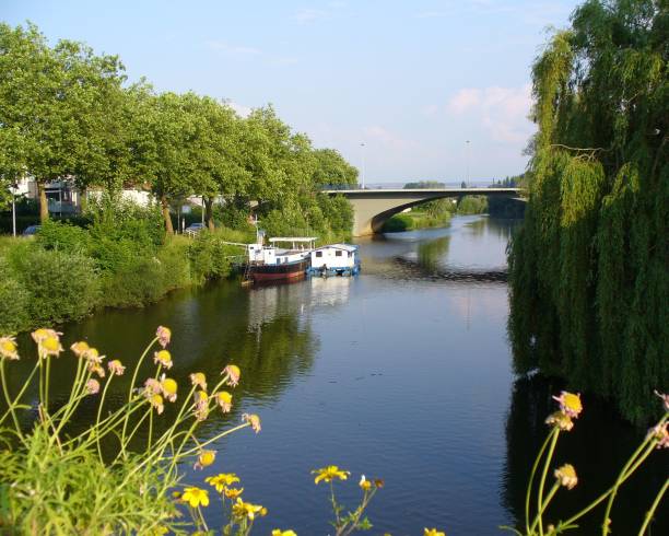istock River with flowers in the foreground 1450664981