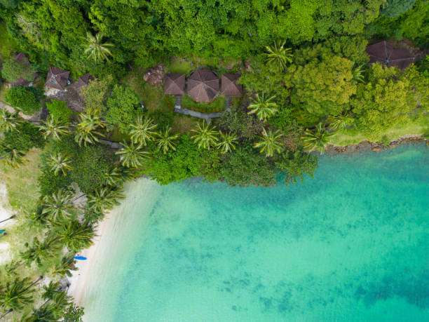 istock Aerial view exotic sea wave beach with green tree white sand 1450667823