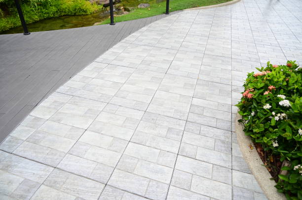 istock pavements with natural garden, construction industry 1450671628