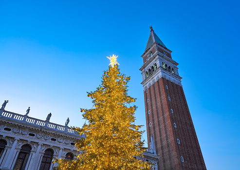 Christmas tree in St. Mark's square with the Campanile