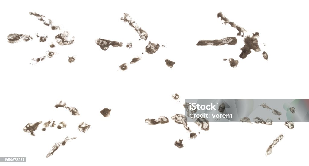 Chicken tracks made of dirt in a row. Chicken tracks made of dirt in a row isolated on a white background. Footprint Stock Photo
