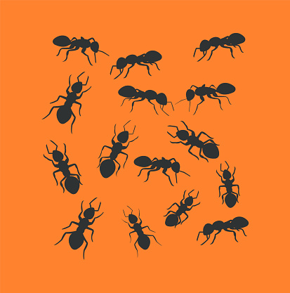 Vector illustration of black ants in a repeating pattern against a orange background.