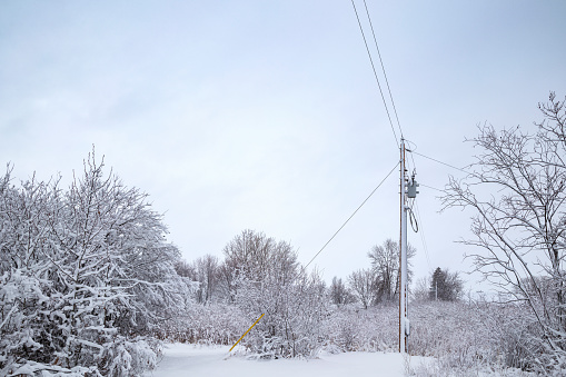 Power line in winter after a snowstorm.