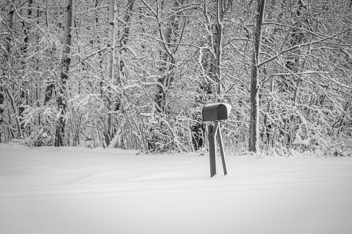 Rural mailbox along a country road after a snowstorm.